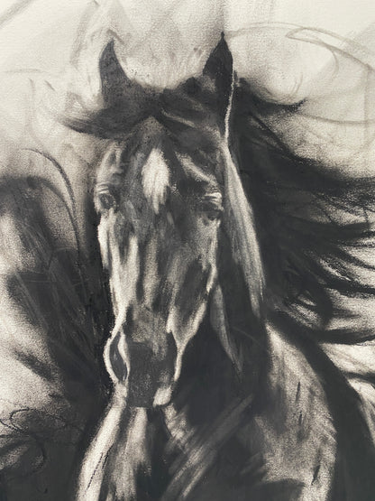 Bandit - Original Artwork